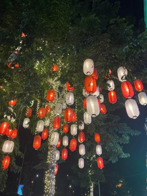 271550193 449317383342373 3265438961011165539 N