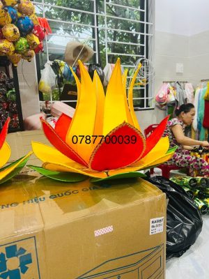 Z4848278960809 C9f9685a7584f0b8f50a4f24c056ea79