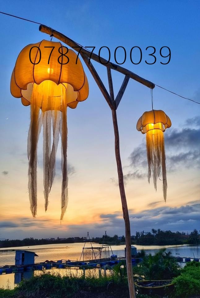 Z5182113699215 Cf209b7f5a30c9425357438c696391b4