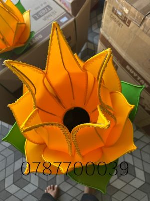 Z5286231703200 14b1f4a9406e8ea958776b1613d4e8a4